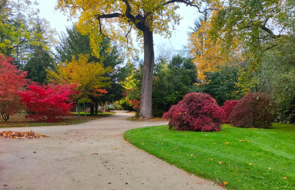 photographe à Tarbes